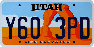 UT license plate Y603PD