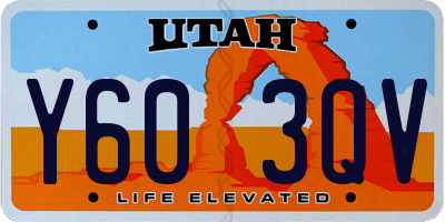 UT license plate Y603QV