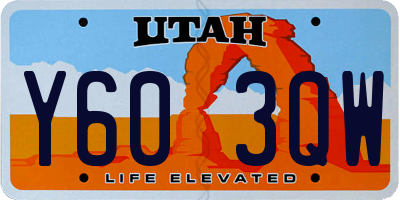 UT license plate Y603QW