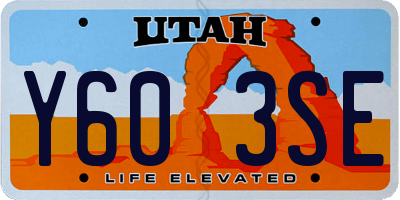 UT license plate Y603SE