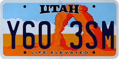 UT license plate Y603SM