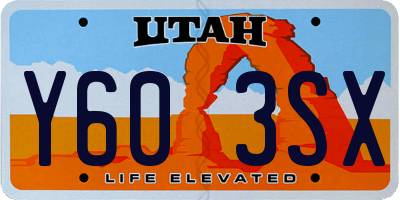 UT license plate Y603SX