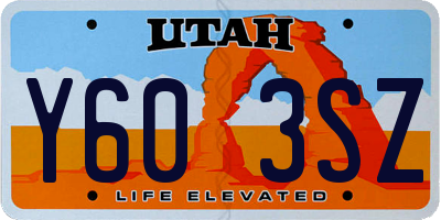 UT license plate Y603SZ
