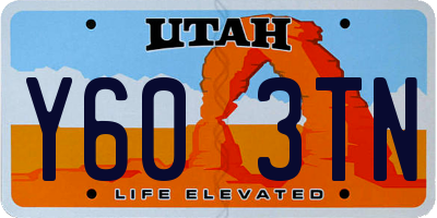UT license plate Y603TN