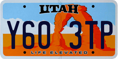 UT license plate Y603TP