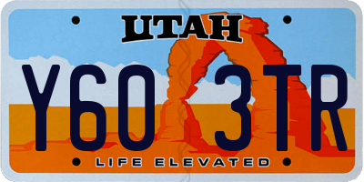 UT license plate Y603TR
