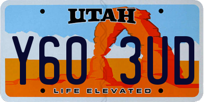 UT license plate Y603UD