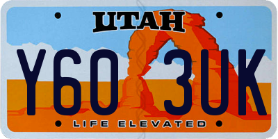 UT license plate Y603UK