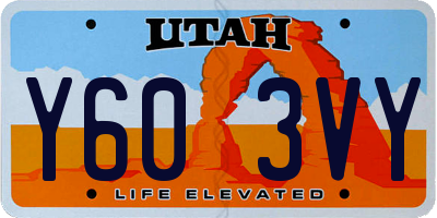 UT license plate Y603VY