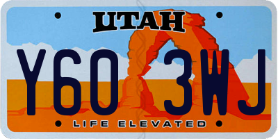 UT license plate Y603WJ