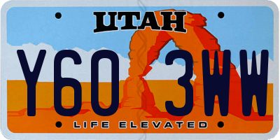 UT license plate Y603WW
