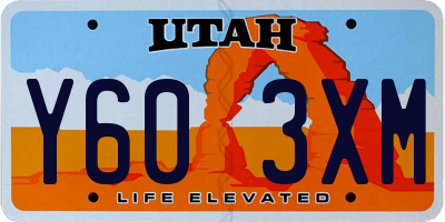 UT license plate Y603XM