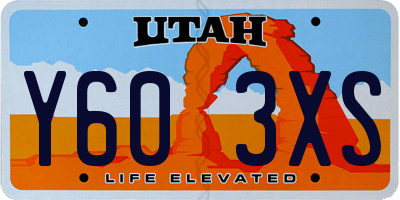 UT license plate Y603XS
