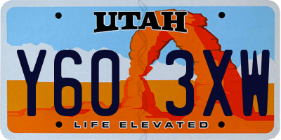 UT license plate Y603XW