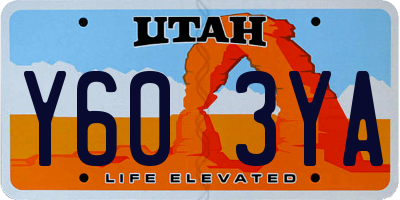 UT license plate Y603YA