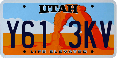 UT license plate Y613KV