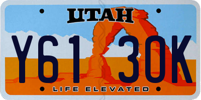UT license plate Y613OK