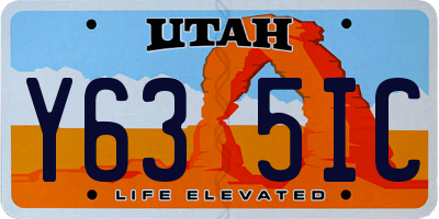 UT license plate Y635IC