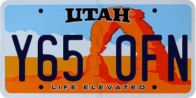 UT license plate Y650FN