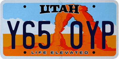 UT license plate Y650YP