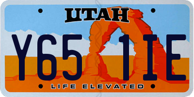 UT license plate Y651IE