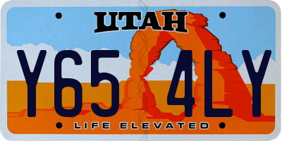 UT license plate Y654LY