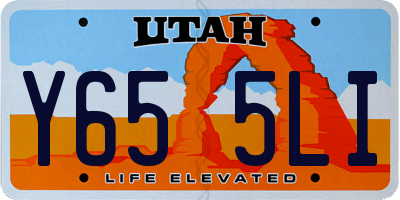 UT license plate Y655LI