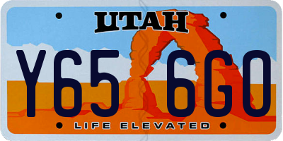 UT license plate Y656GO