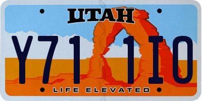 UT license plate Y711IO