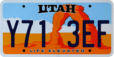 UT license plate Y713EF