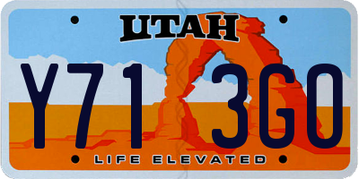 UT license plate Y713GO