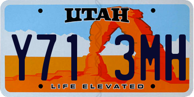 UT license plate Y713MH