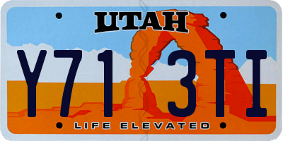 UT license plate Y713TI