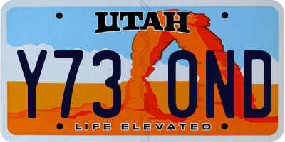 UT license plate Y730ND