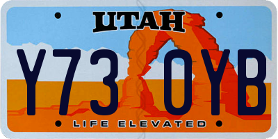 UT license plate Y730YB
