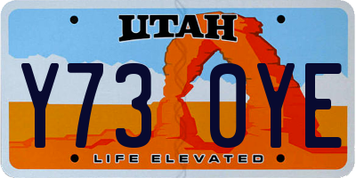 UT license plate Y730YE