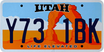 UT license plate Y731BK