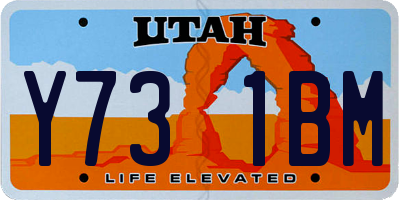 UT license plate Y731BM