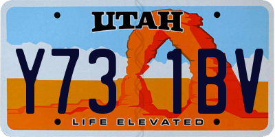 UT license plate Y731BV