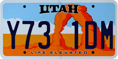 UT license plate Y731DM