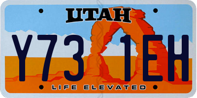 UT license plate Y731EH