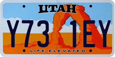 UT license plate Y731EY