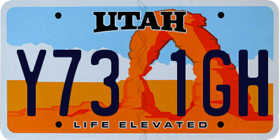 UT license plate Y731GH