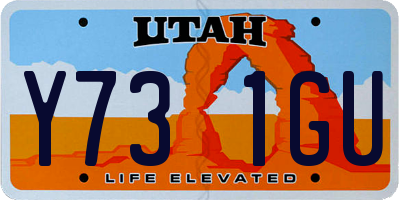 UT license plate Y731GU