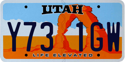 UT license plate Y731GW