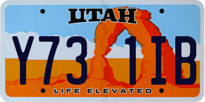 UT license plate Y731IB