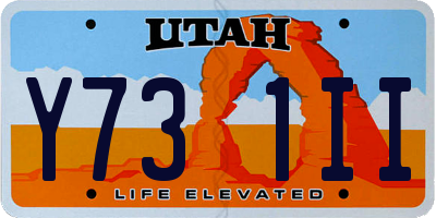 UT license plate Y731II