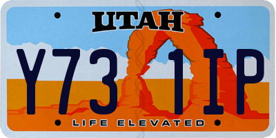 UT license plate Y731IP