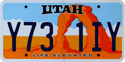 UT license plate Y731IY