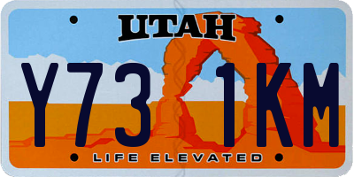 UT license plate Y731KM